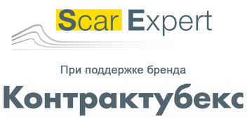 Scar Expert